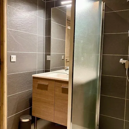 Apartment Lumineux 3 Pieces, 6 Pers, A 250m Des Pistes, Animaux Admis - Fr-1-811-11 Les Deux Alpes
