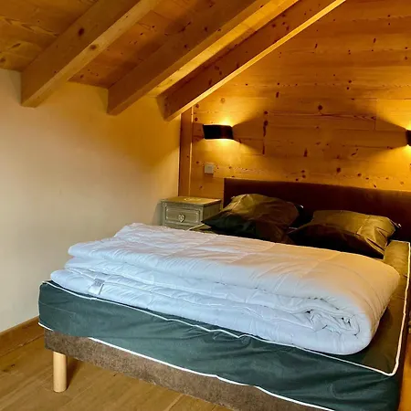 Lumineux 3 Pieces, 6 Pers, A 250m Des Pistes, Animaux Admis - Fr-1-811-11 Apartment *