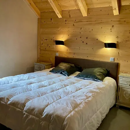 Lumineux 3 Pieces, 6 Pers, A 250m Des Pistes, Animaux Admis - Fr-1-811-11 * Les Deux Alpes